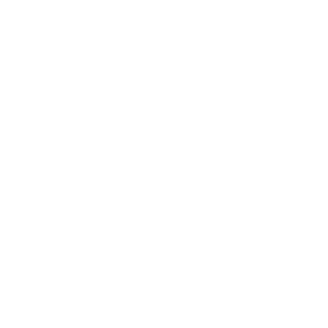 ETIHAD AIRWAYS copy
