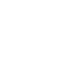 Mövenpick copy