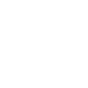 SINGAPORE AIRLINES copy