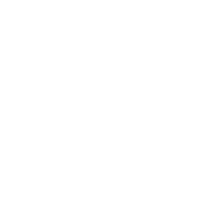 THE BRITISH INTERNATIONAL SCHOOL