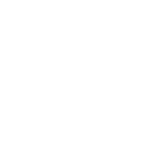 UBM copy